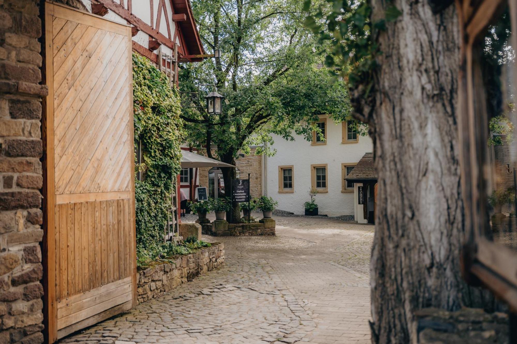 Hotel Jordan'S Untermuehle à Kongernheim Extérieur photo